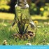 Affiche de l'exposition : Le développement durable en recherches