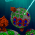 Modèle atomique du chromatophore de la bactérie pourpre, organelle chargée de la photosynthèse © Singharoy et al. 2019