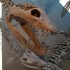 Exposition "Ancient sea monsters" Affiche de l'exposition : "Ancient sea monsters"