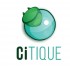 Stages citoyens Tous Chercheurs-CiTIQUE